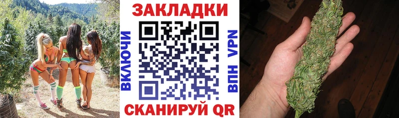 Купить наркотики цена Ачхой-Мартан APVP  Псилоцибиновые грибы  Меф  Бошки Шишки  Cocaine 